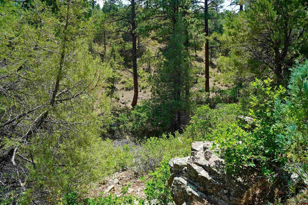 Tbd Hummingbird Trail Ridgway CO 81432