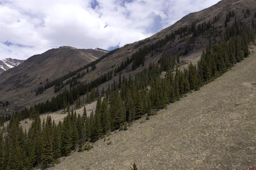 Tbd Cr 2 Silverton CO 81433