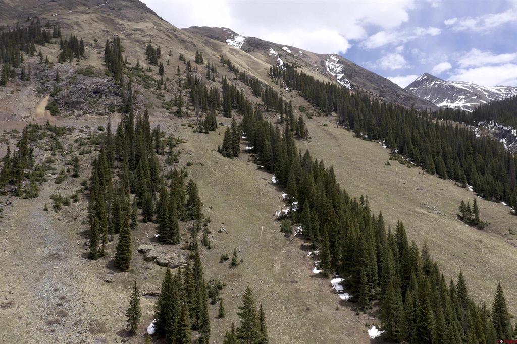 Tbd Cr 2 Silverton CO 81433