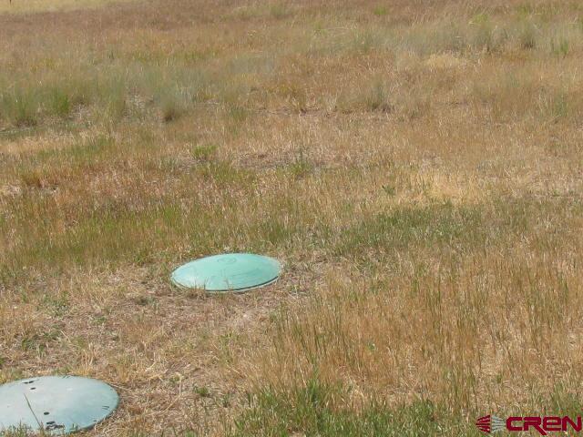106 Apple Court Pagosa Springs CO 81147