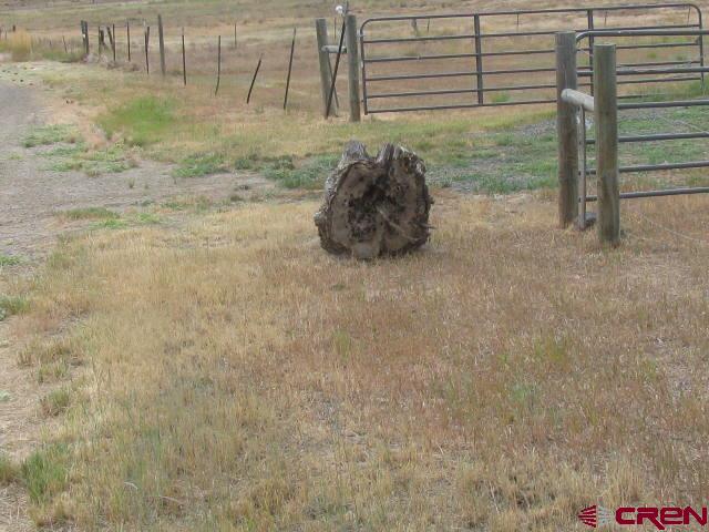 106 Apple Court Pagosa Springs CO 81147