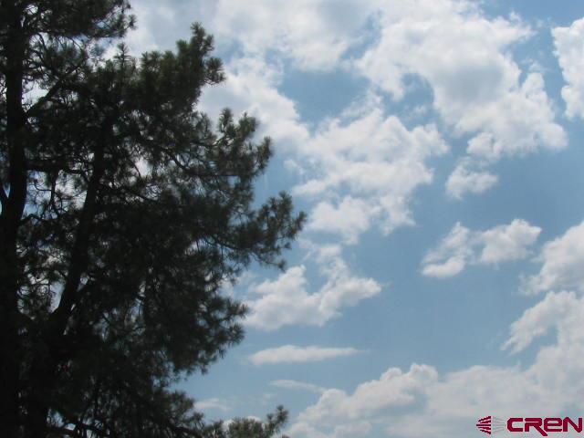106 Apple Court Pagosa Springs CO 81147