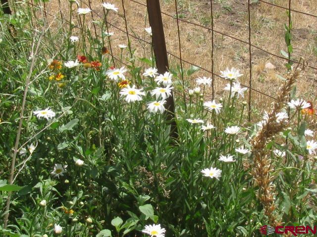 106 Apple Court Pagosa Springs CO 81147