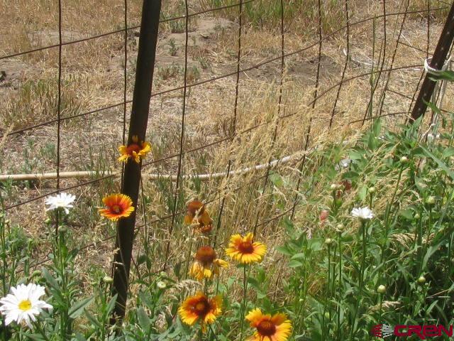 106 Apple Court Pagosa Springs CO 81147