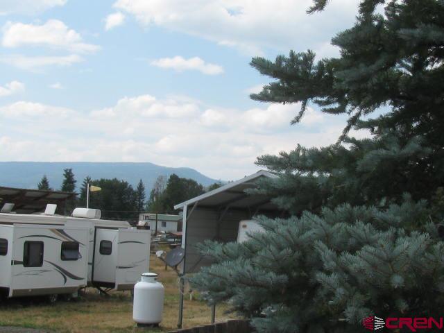 106 Apple Court Pagosa Springs CO 81147