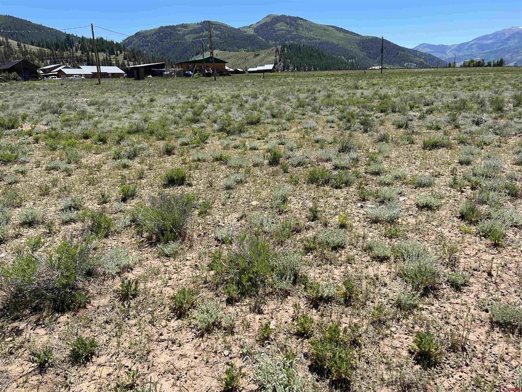 110 Bluff Drive Creede CO 81130