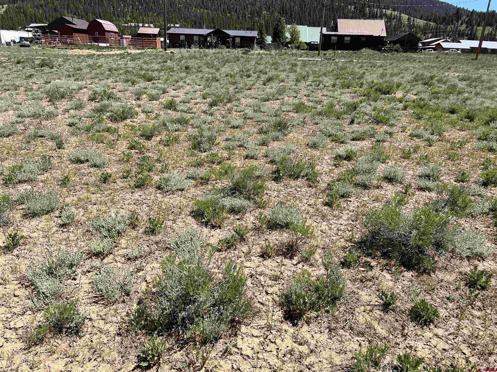 110 Bluff Drive Creede CO 81130