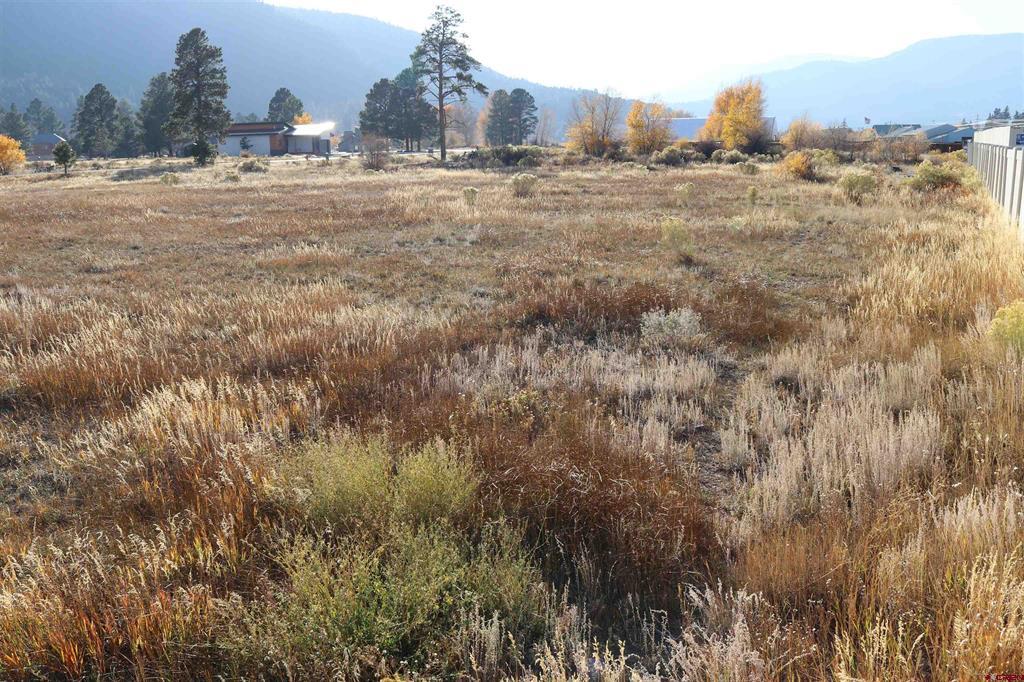 117 Bonnaville Drive South Fork CO 81154
