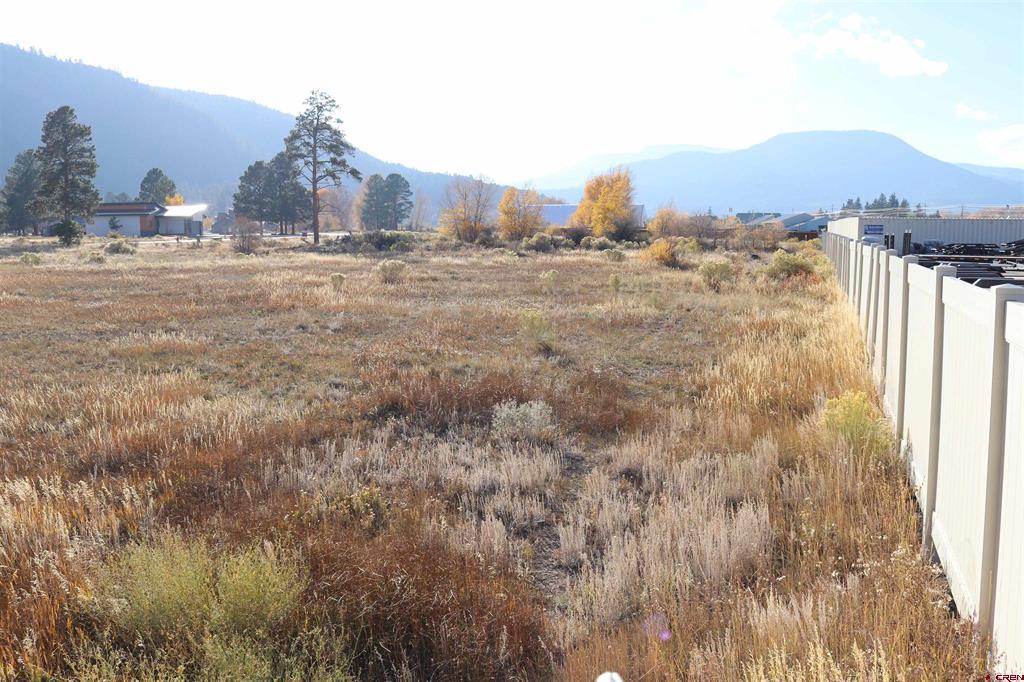 117 Bonnaville Drive South Fork CO 81154