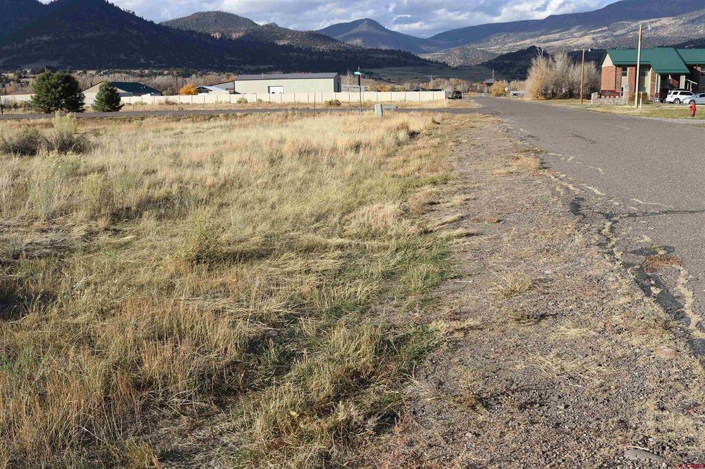 117 Bonnaville Drive South Fork CO 81154