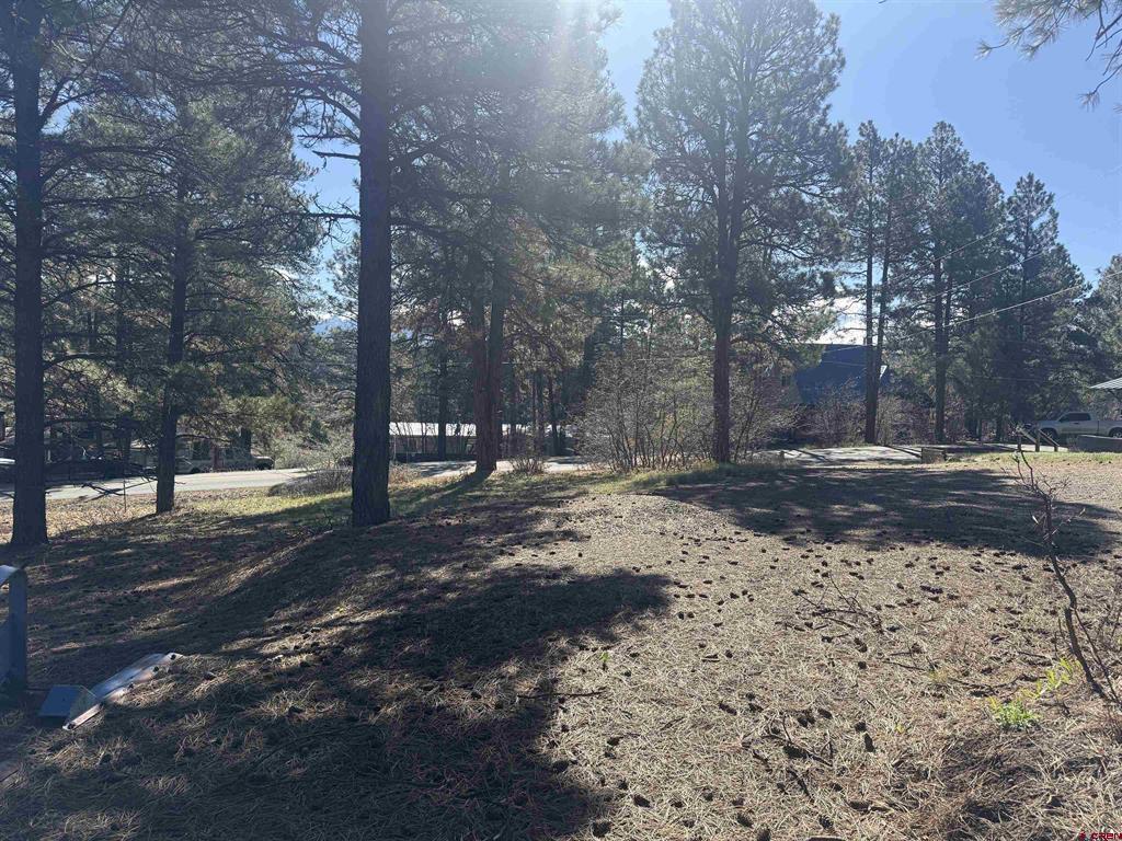 19 Bienvenido Circle Pagosa Springs CO 81147