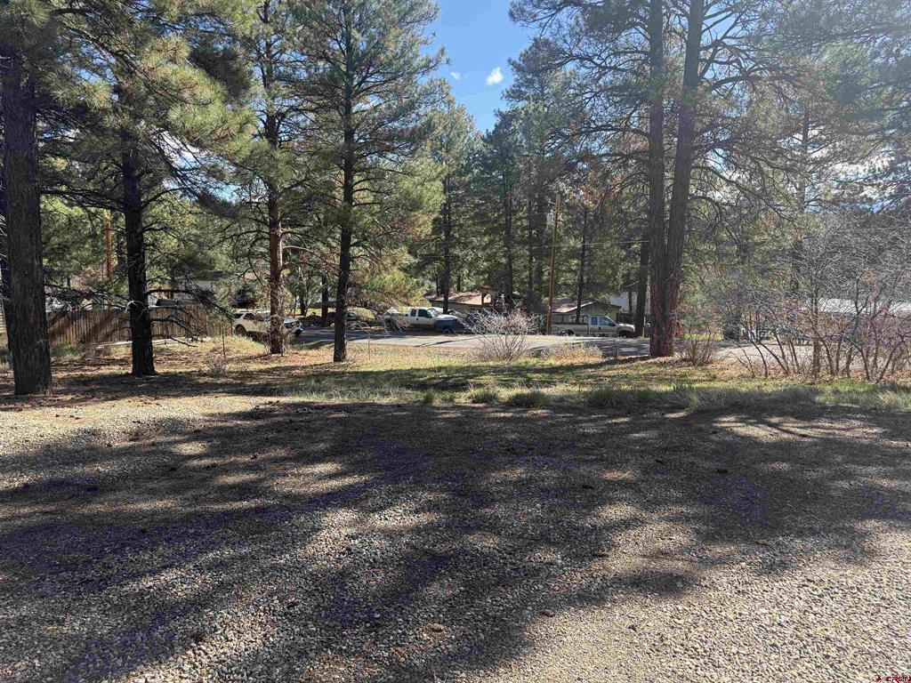 19 Bienvenido Circle Pagosa Springs CO 81147