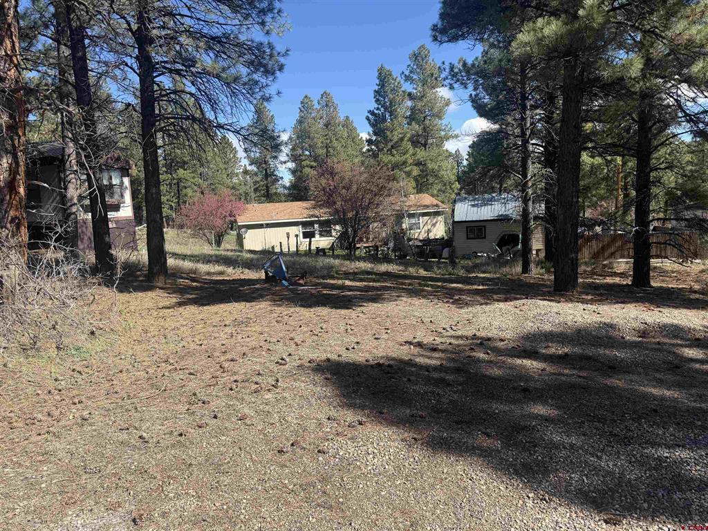 19 Bienvenido Circle Pagosa Springs CO 81147