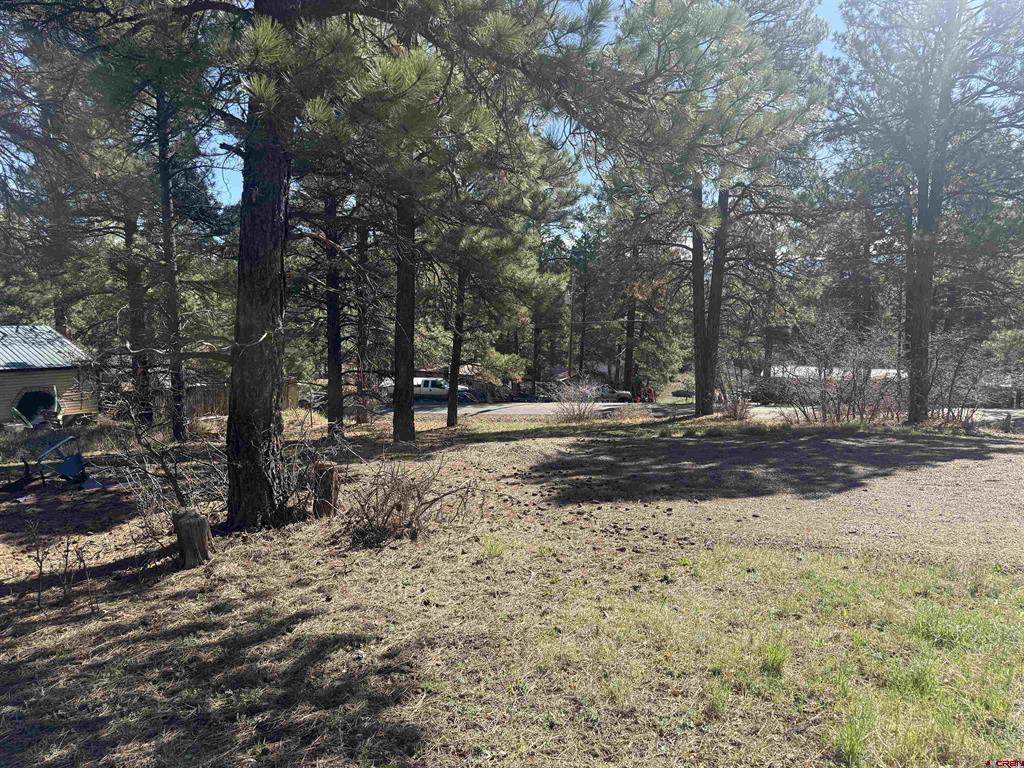 19 Bienvenido Circle Pagosa Springs CO 81147