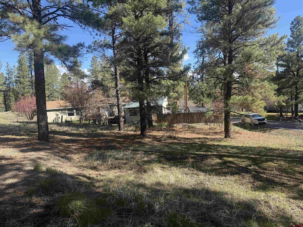 19 Bienvenido Circle Pagosa Springs CO 81147