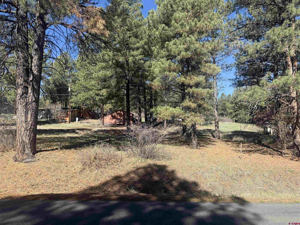 19 Bienvenido Circle Pagosa Springs CO 81147