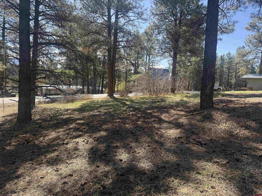 19 Bienvenido Circle Pagosa Springs CO 81147