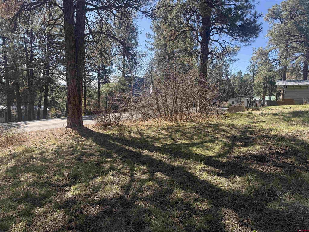 19 Bienvenido Circle Pagosa Springs CO 81147