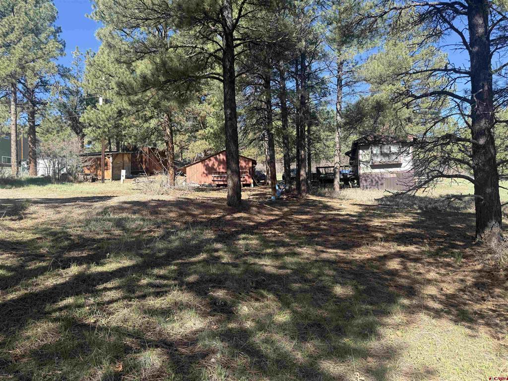 19 Bienvenido Circle Pagosa Springs CO 81147