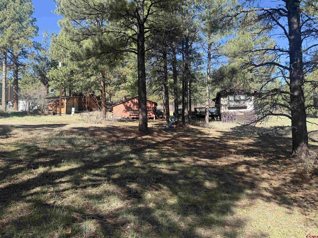 19 Bienvenido Circle Pagosa Springs CO 81147