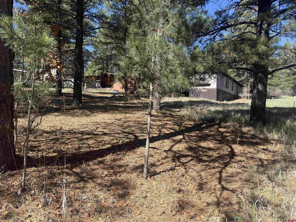 19 Bienvenido Circle Pagosa Springs CO 81147
