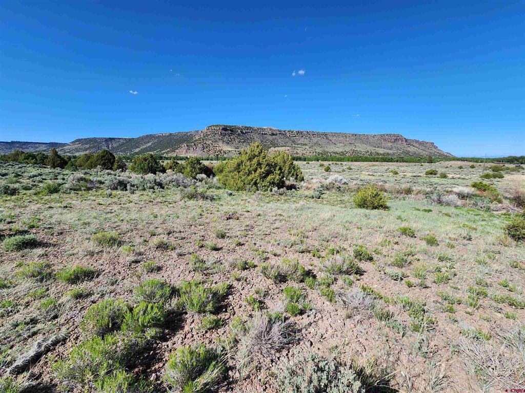 Lot 10 Conejos River Trails Antonito CO 81120