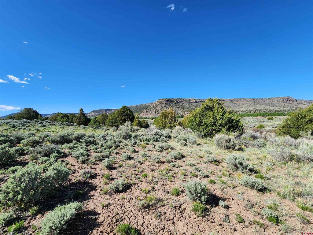 Lot 10 Conejos River Trails Antonito CO 81120