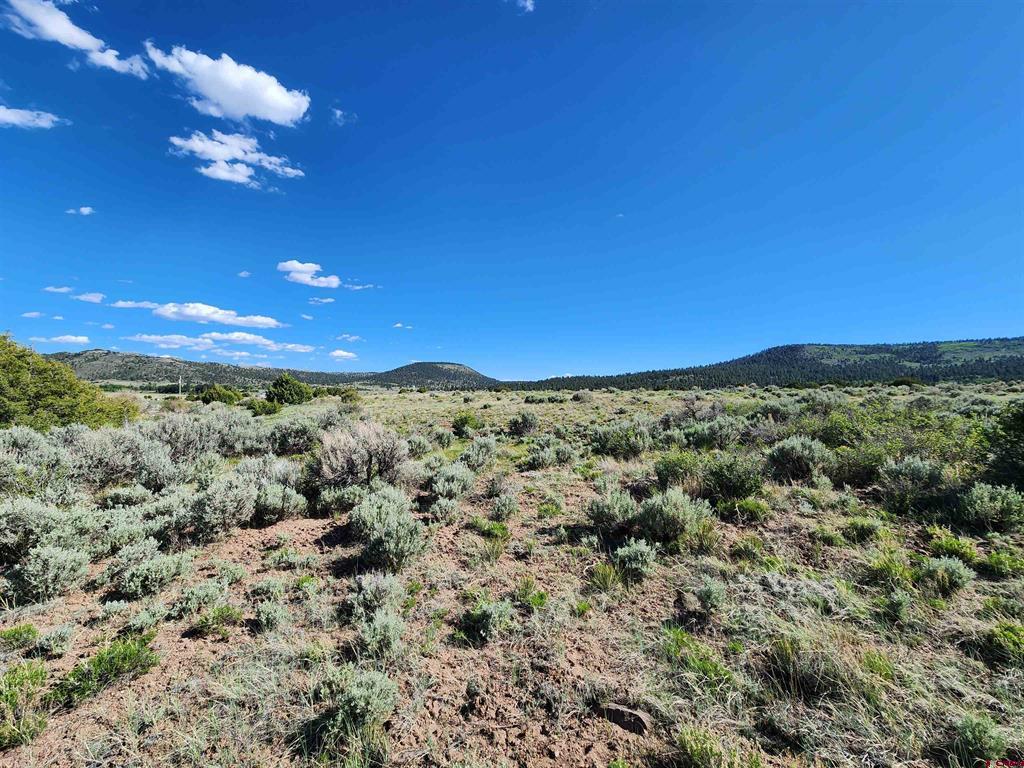 Lot 10 Conejos River Trails Antonito CO 81120