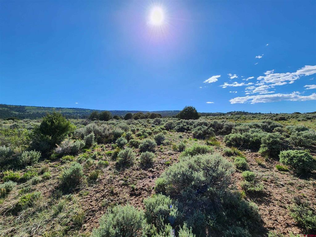 Lot 10 Conejos River Trails Antonito CO 81120