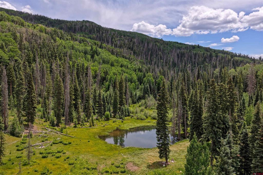 4566 Middle Mountain Road Vallecito Lake/bayfield CO 81122