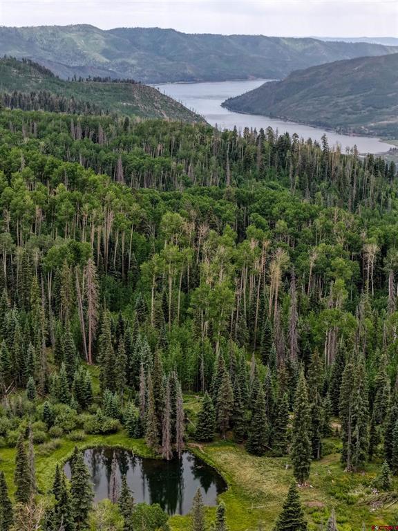 4566 Middle Mountain Road Vallecito Lake/bayfield CO 81122