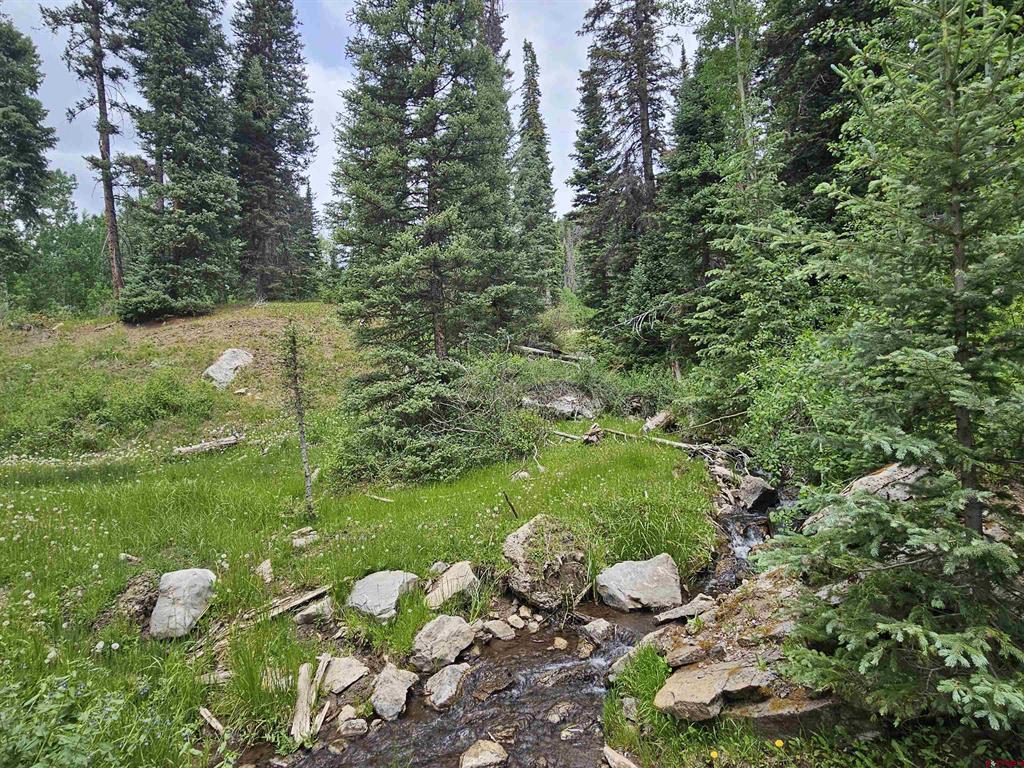 4566 Middle Mountain Road Vallecito Lake/bayfield CO 81122
