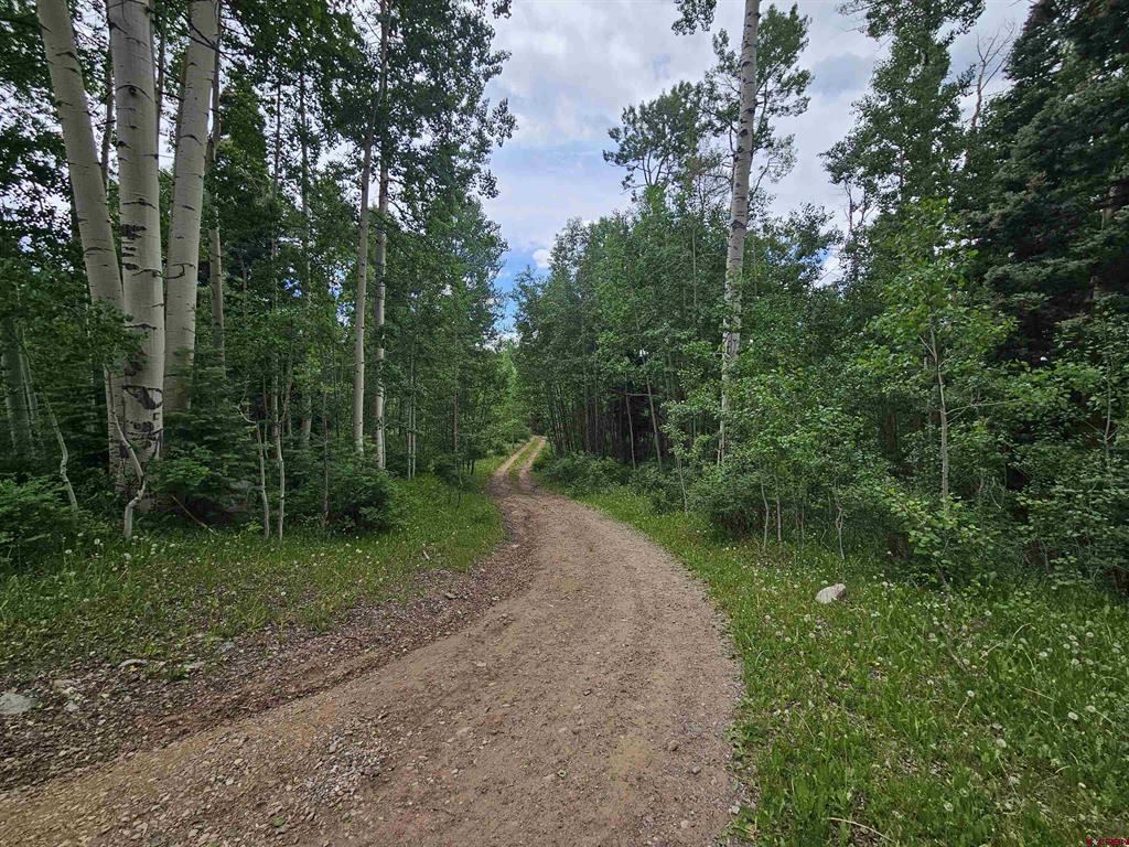 4566 Middle Mountain Road Vallecito Lake/bayfield CO 81122