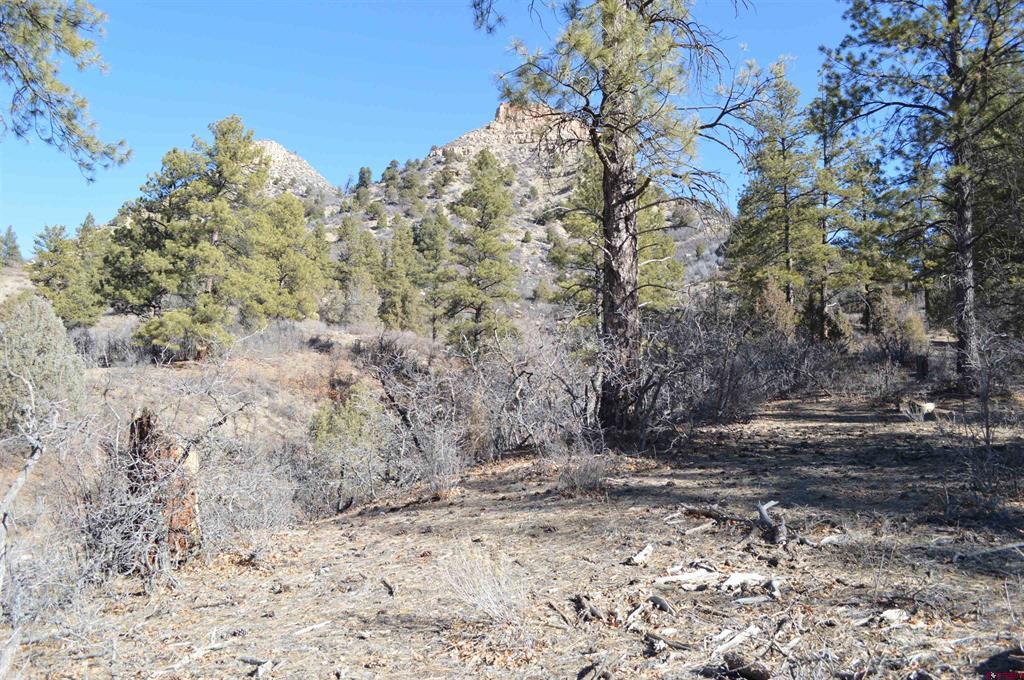 63 Snowdrop Court (Lot 139) Durango CO 81301