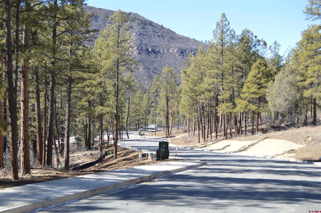63 Snowdrop Court (Lot 139) Durango CO 81301