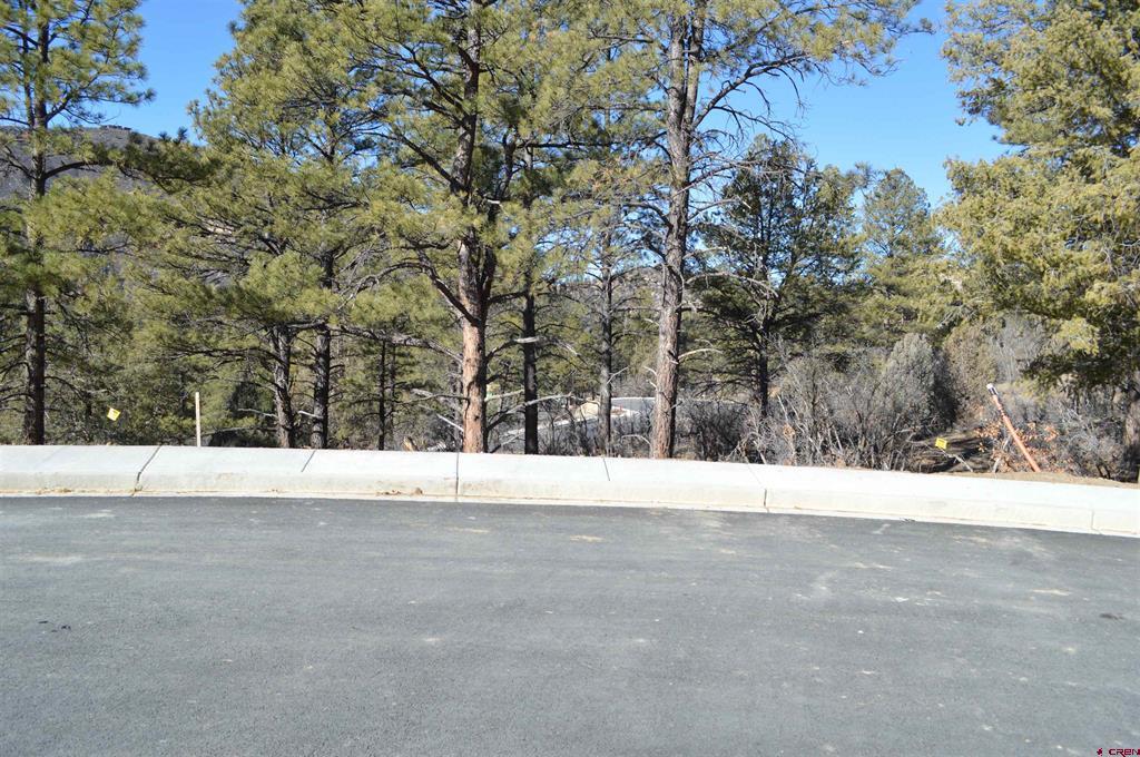 63 Snowdrop Court (Lot 139) Durango CO 81301