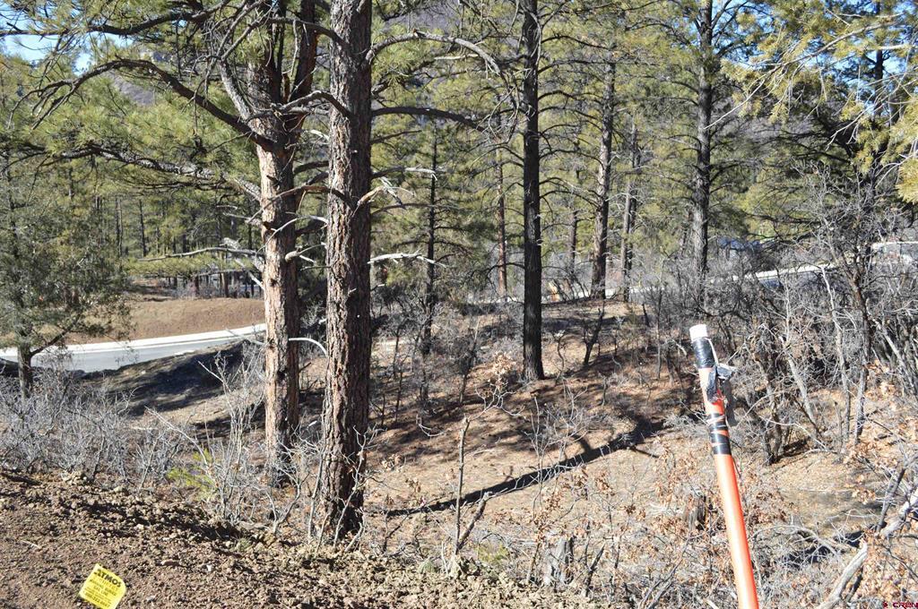 63 Snowdrop Court (Lot 139) Durango CO 81301
