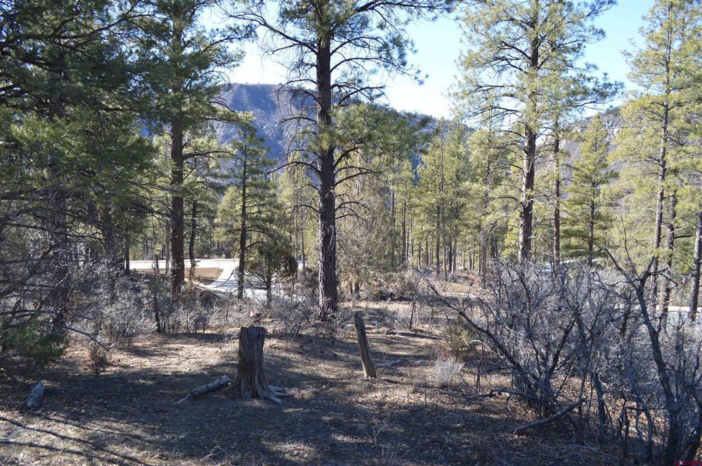 63 Snowdrop Court (Lot 139) Durango CO 81301