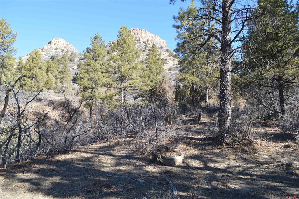 63 Snowdrop Court (Lot 139) Durango CO 81301