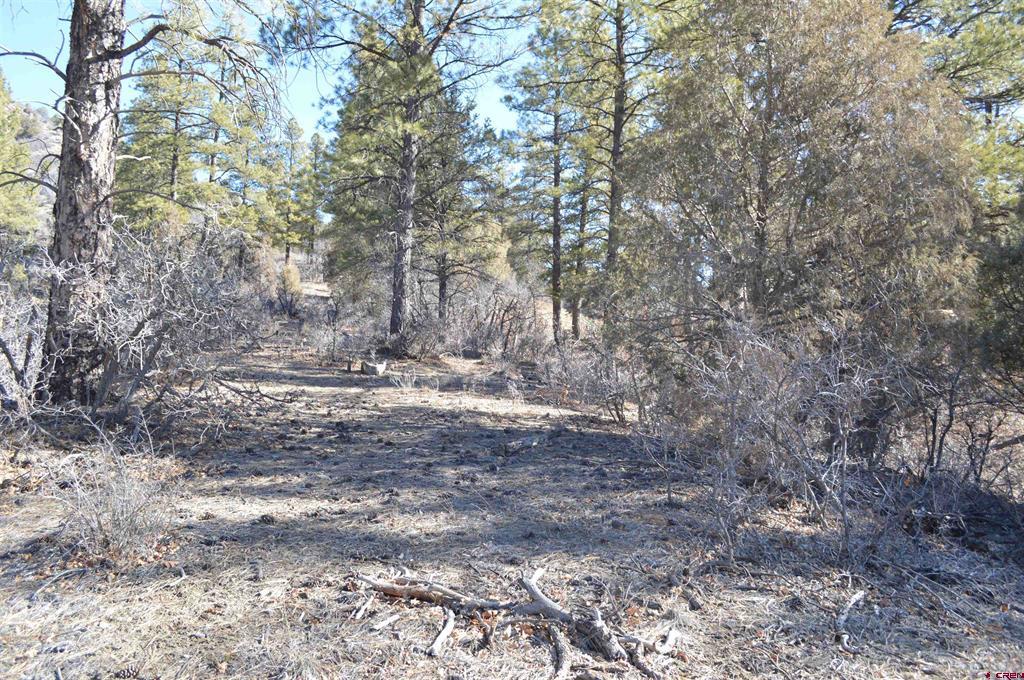 63 Snowdrop Court (Lot 139) Durango CO 81301