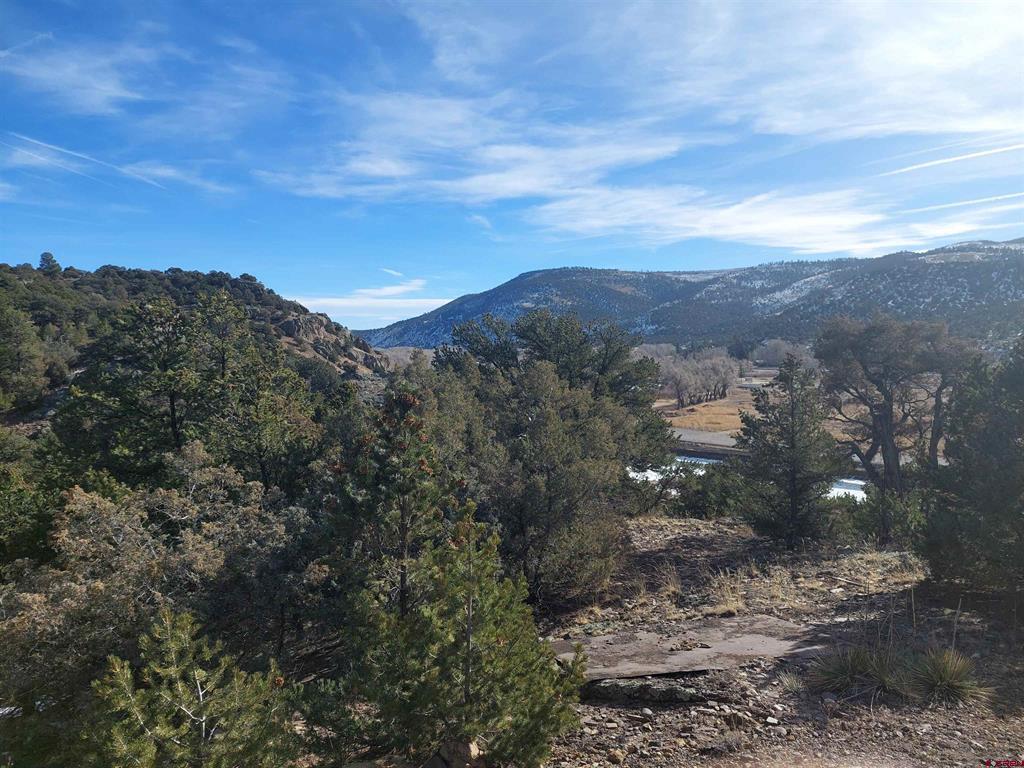 37 Turkey Creek Road South Fork CO 81154
