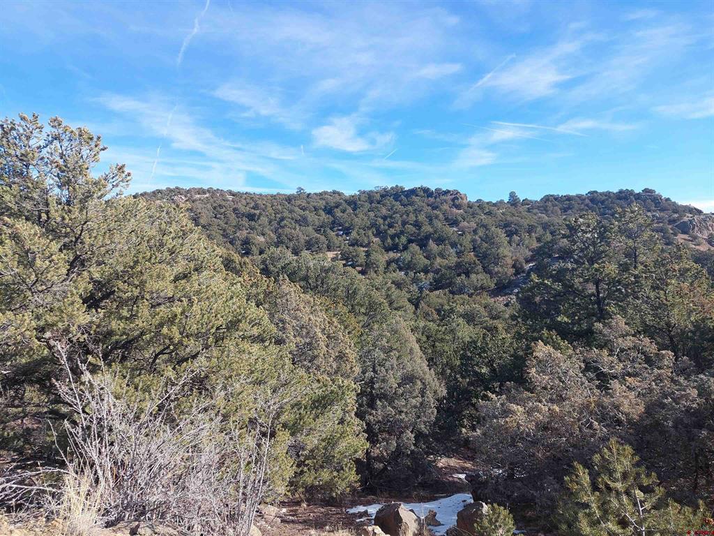 37 Turkey Creek Road South Fork CO 81154