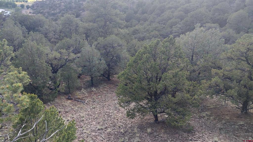 37 Turkey Creek Road South Fork CO 81154