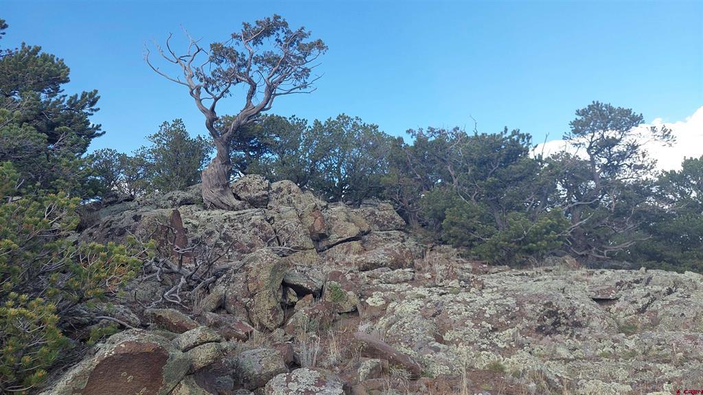 37 Turkey Creek Road South Fork CO 81154