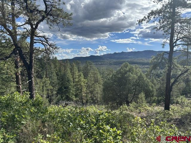70 Rocky Ridge 1 Pagosa Springs CO 81147