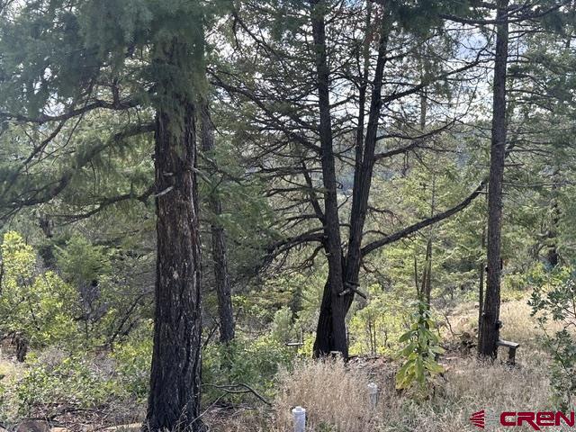 70 Rocky Ridge 1 Pagosa Springs CO 81147