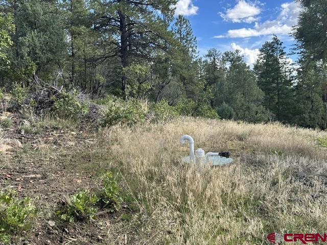 70 Rocky Ridge 1 Pagosa Springs CO 81147