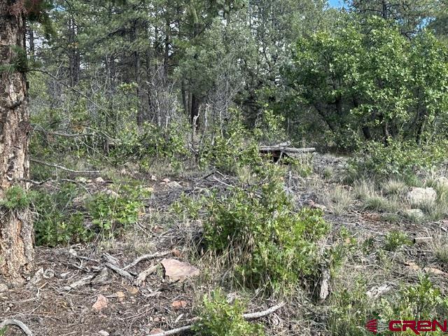 70 Rocky Ridge 1 Pagosa Springs CO 81147