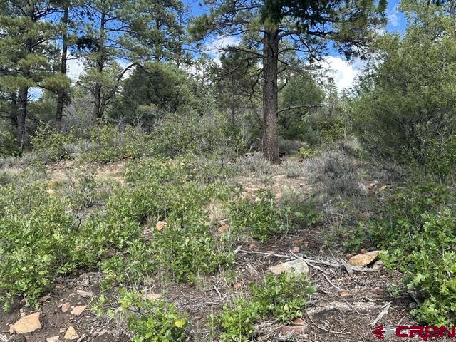 70 Rocky Ridge 1 Pagosa Springs CO 81147