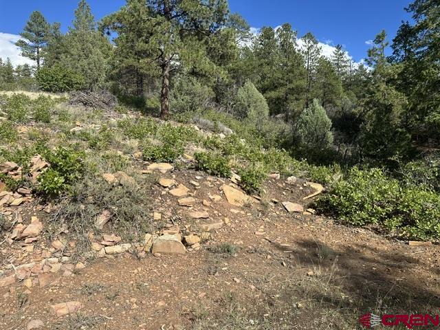 70 Rocky Ridge 1 Pagosa Springs CO 81147